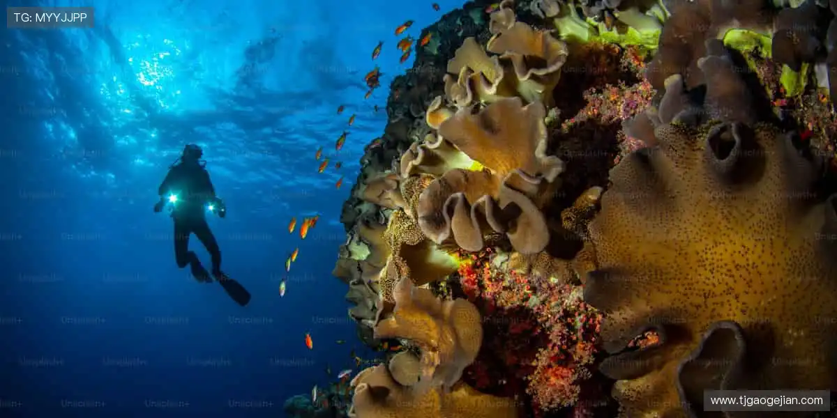 🎧专业护具,科技加持,运动安全与舒适并存!